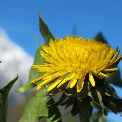 恩施房价2018房价出售